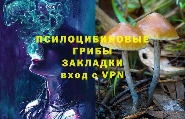 метамфетамин Алексин